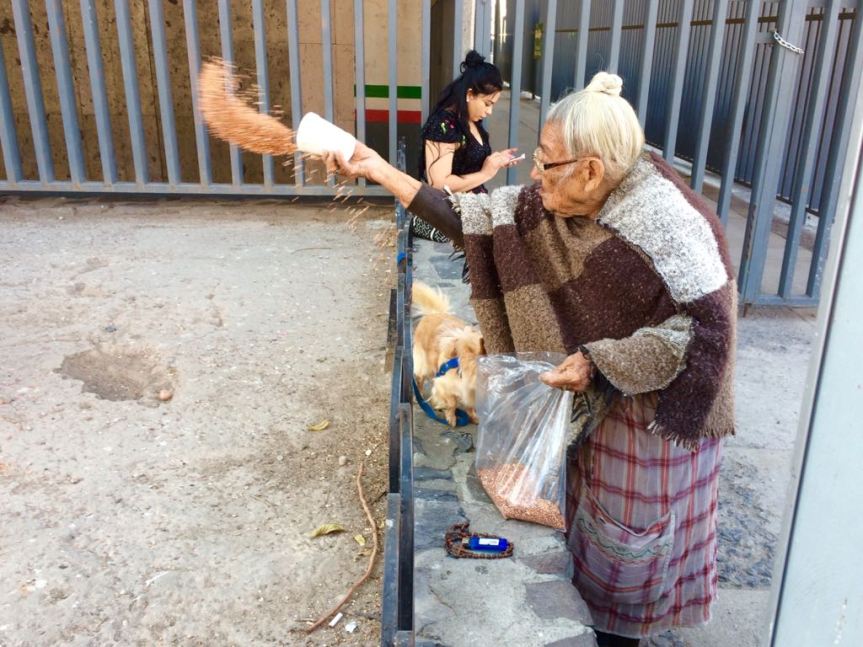 WhatsApp Image 2018-02-28 at 3.39.06 PM