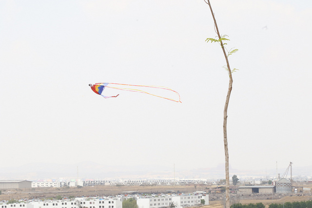 40697810985_88c19480e4_z