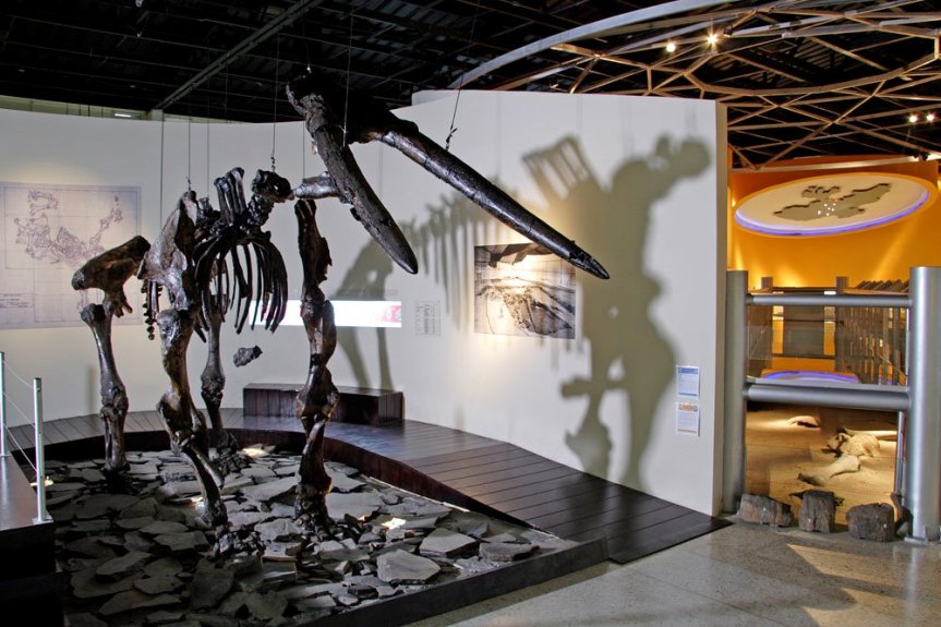 Los 5 museos que no debes perderte en La Ciudad de&nbsp;Guadalajara