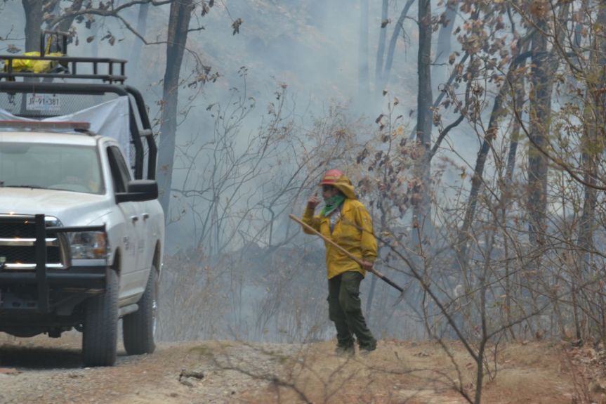 WhatsApp Image 2018-04-11 at 5.55.12 PM