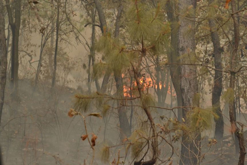 Por incendio en La Primavera se activa emergencia atmosférica en la&nbsp;ZMG