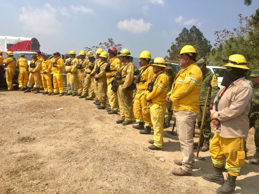 WhatsApp Image 2018-04-12 at 1.17.29 PM