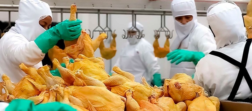 WhatsApp Image 2018-04-25 at 4.45.15 PM