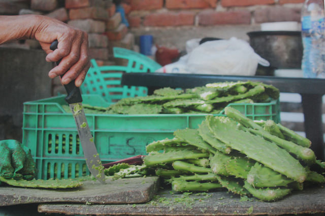 40542754170_a677e6662d_z