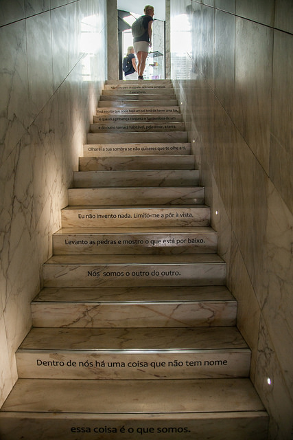 41076637190_550d429b54_z