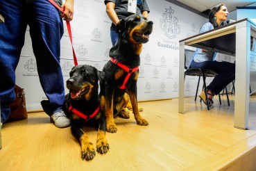 43443143142_d40687e57c_z