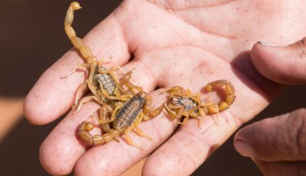 WhatsApp Image 2018-08-07 at 5.28.21 PM