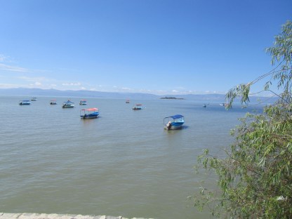 Contaminación del lago de Chapala en el municipio de San Pedro Itzicán 4