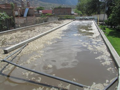 Contaminación del lago de Chapala en el municipio de San Pedro Itzicán 6 (1)