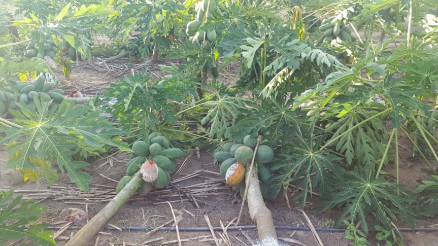 Tomatlán clama por ayuda después de Willa, autoridades los&nbsp;ignoran