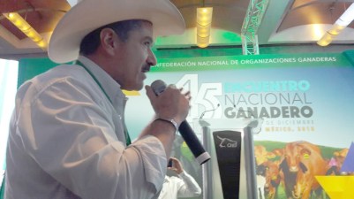 encuentro ganadero-f01