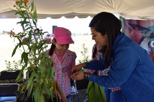 47342174331_84e3aac1c5_z