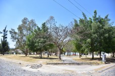 47420978162_fb1335d63d_z