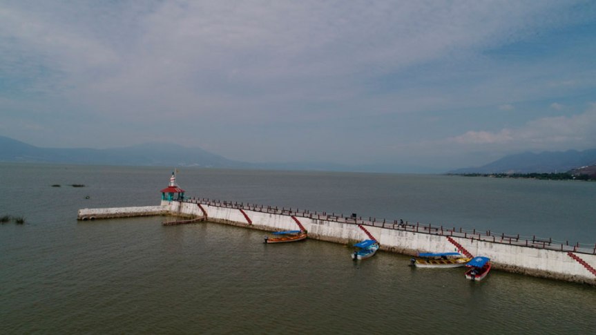 Al rescate de Chapala con Bosques+Agua+Gente 2018-2021