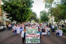 marcha_desaparecidos_dv_16