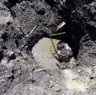 WhatsApp Image 2019-03-06 at 2.30.04 PM