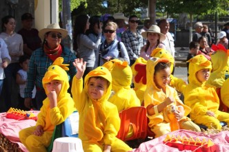 WhatsApp Image 2019-03-21 at 2.10.30 PM