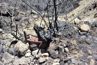 46908157444_0b980dcdd6_z