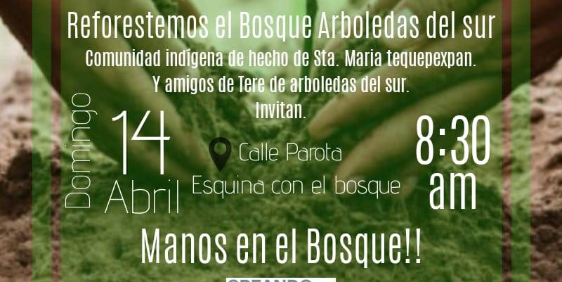 Inicia Creando Lazos de Bienestar combate contra la&nbsp;contaminación