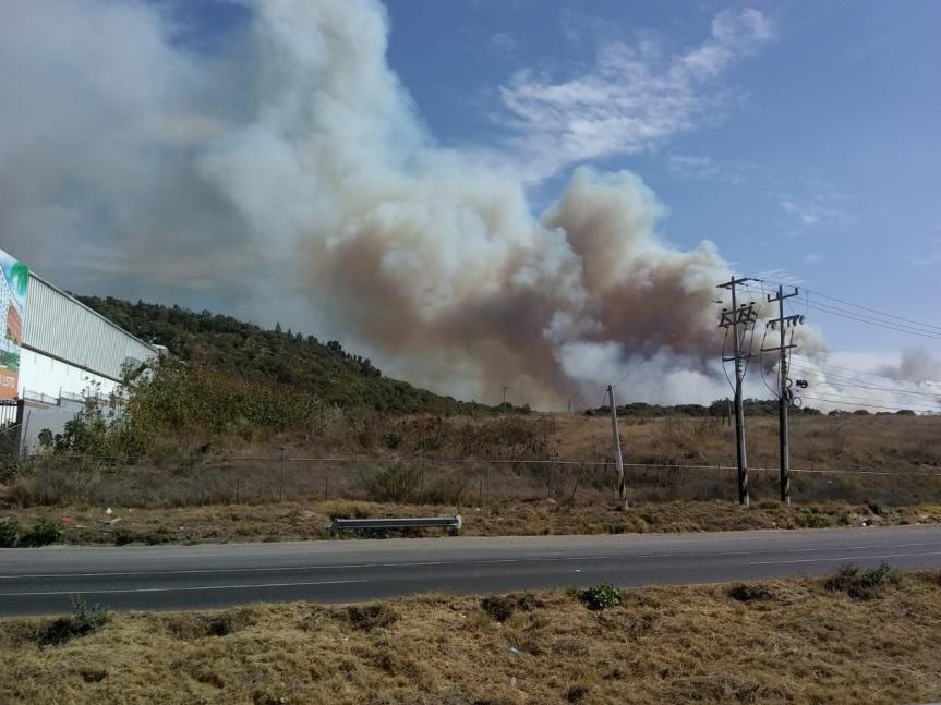 Extinguen incendio en el bosque La&nbsp;Primavera