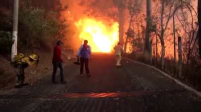 WhatsApp Image 2019-05-15 at 3.10.54 PM