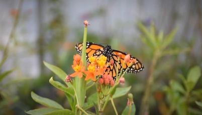 WhatsApp Image 2019-05-20 at 7.37.21 PM