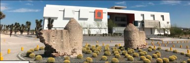 WhatsApp Image 2019-05-22 at 12.55.19 PM (1)