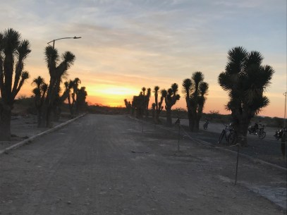 WhatsApp Image 2019-05-22 at 12.55.19 PM