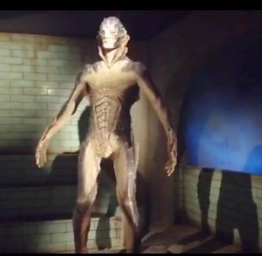 WhatsApp Image 2019-05-29 at 6.57.55 PM