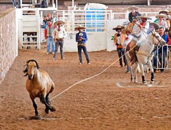 65319172_2263671420335097_6243458795574394880_n