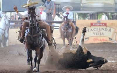 65749872_1052006815004057_3111847648701710336_n