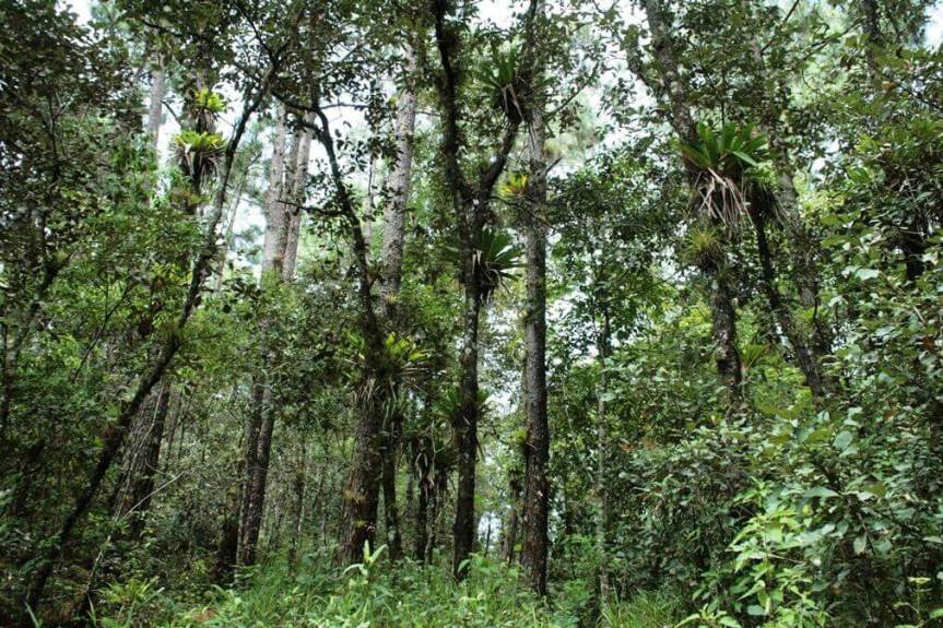 El  gran reto de financiar empresas sociales del sector&nbsp;rural