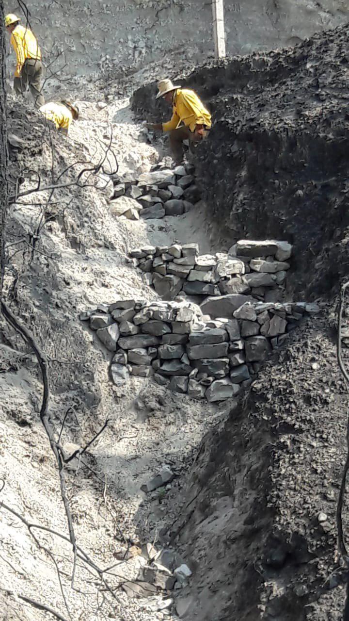 Labores de conservación y restauración de suelo en&nbsp;ANP