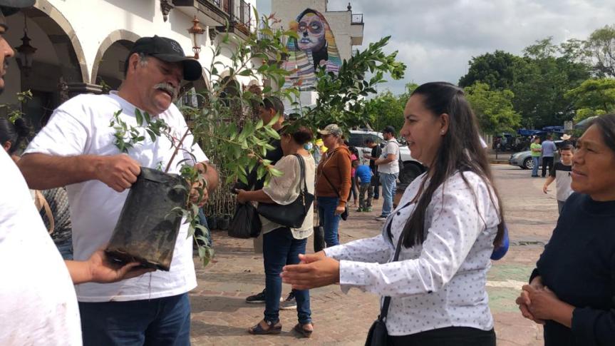 3 mil árboles frutales para habitantes de&nbsp;Zapotlanejo