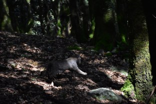 48499658732_b0ff324169_z