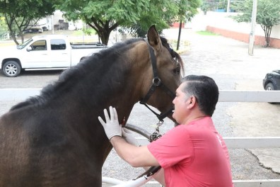 48689290997_3d000e438c_z