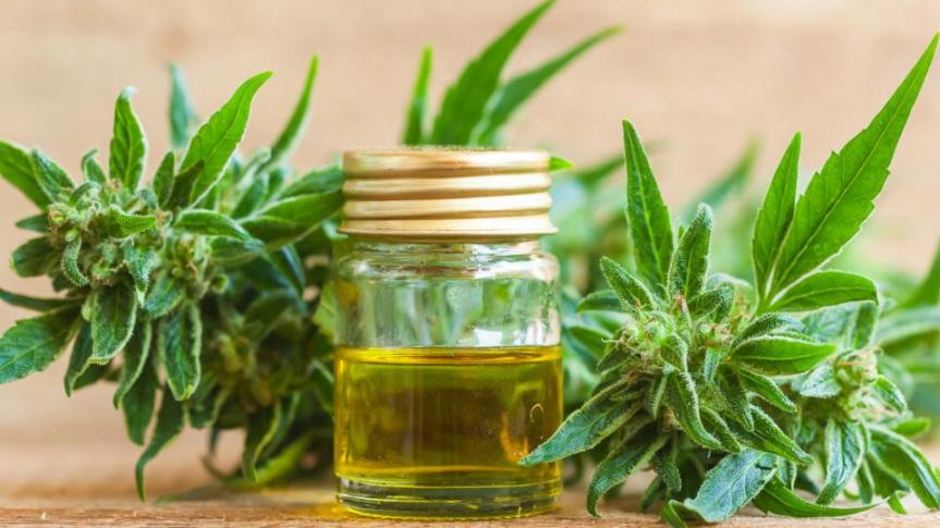 Fundamental contar con regulación para la prescripción de Cannabis&nbsp;medicinal