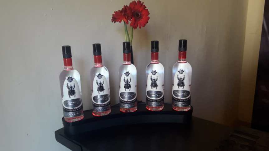 La raicilla va cubriendo&nbsp;terreno