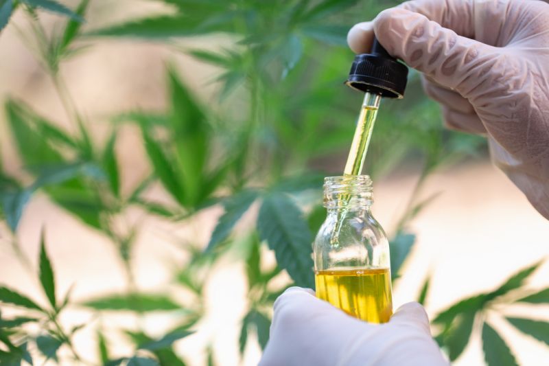 Tratamientos a base de cannabidiol para buenos para enfermedades&nbsp;dermatológicas
