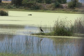 48987336422_54b2999d02_c