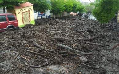Golpeó cambio climático a Jalisco durante&nbsp;2019