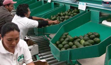 WhatsApp Image 2020-01-31 at 9.10.05 AM (2)