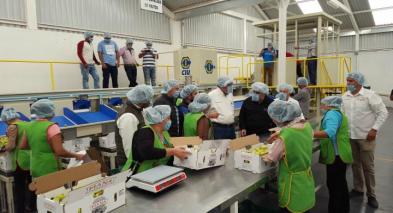 WhatsApp Image 2020-01-31 at 9.10.06 AM