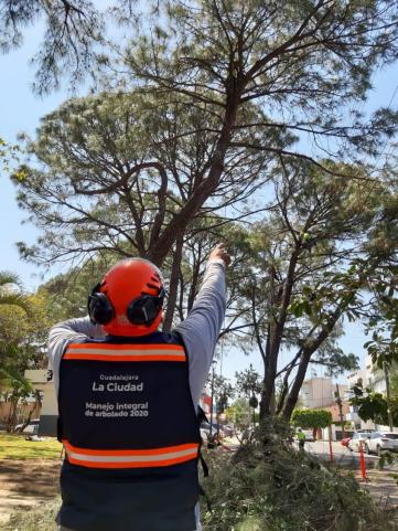 WhatsApp Image 2020-03-30 at 2.18.03 PM (1)