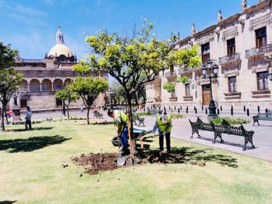 WhatsApp Image 2020-04-13 at 7.28.48 PM (1)