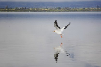 49871742542_f26e903f55_k