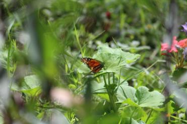 WhatsApp Image 2020-05-31 at 1.55.48 PM