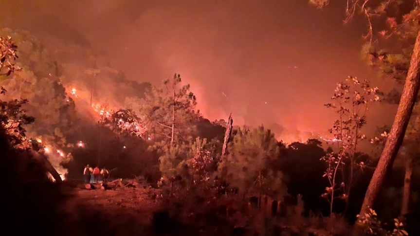Quemas agropecuarias, principal causa de incendios forestales en&nbsp;Jalisco
