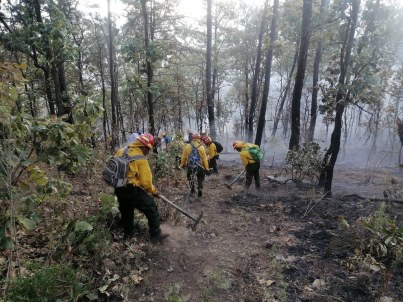 49960308273_7d8972b418_b