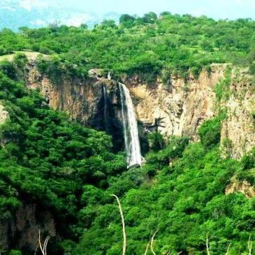 WhatsApp Image 2020-07-06 at 8.25.11 PM